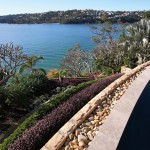 coastal garden