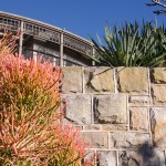 garden design