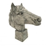 Stallion Head