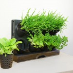 freestanding desktop