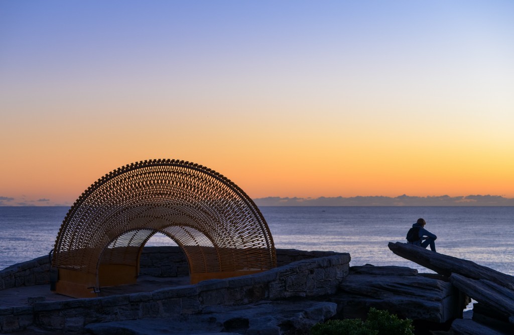 Nicole Larkin Dynamics in Impermanence SxSBondi2016