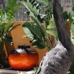 ceramic pot