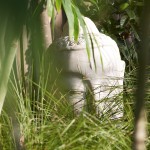 outdoor design