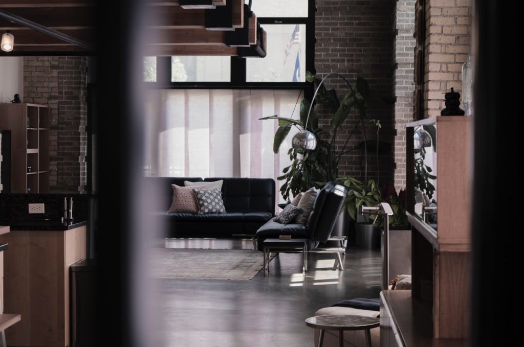 8 tips to help you care for indoor plants