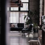 8 tips to help you care for indoor plants