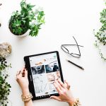 A beginner's guide to growing indoor and house plants