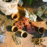 Terrariums: your guide to caring for these miniature gardens
