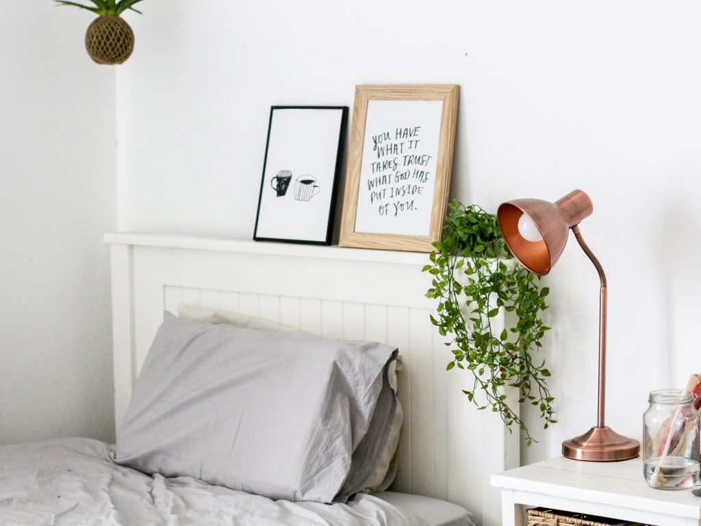 Which indoor plants, where? How to decide where to put your indoor plants