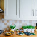 Which indoor plants, where? How to decide where to put your indoor plants