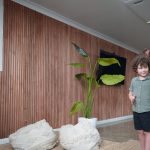 Porta's Partnership with Byron Bay Wildlife Sanctuary