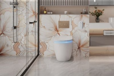 Wall-Hung Smart Toilet