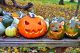 Pumpkin vines