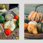 Pumpkin vines